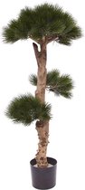Pinus Bonsai kunstboom 110 cm