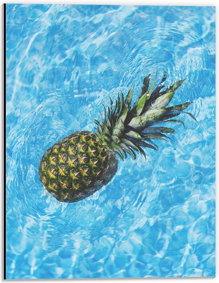 Dibond - Ananas Drijvend in Water - 30x40cm Foto op Aluminium (Met Ophangsysteem)