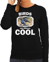 Dieren vogels sweater zwart dames - birds are serious cool trui - cadeau sweater raaf/ vogels liefhebber 2XL
