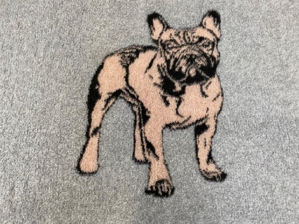 Vetbed - Hondenkleed - Dierenmat - Dierenkleed - Franse Bulldog Bruin - anti-slip 100 x 75 cm - Machinewasbaar