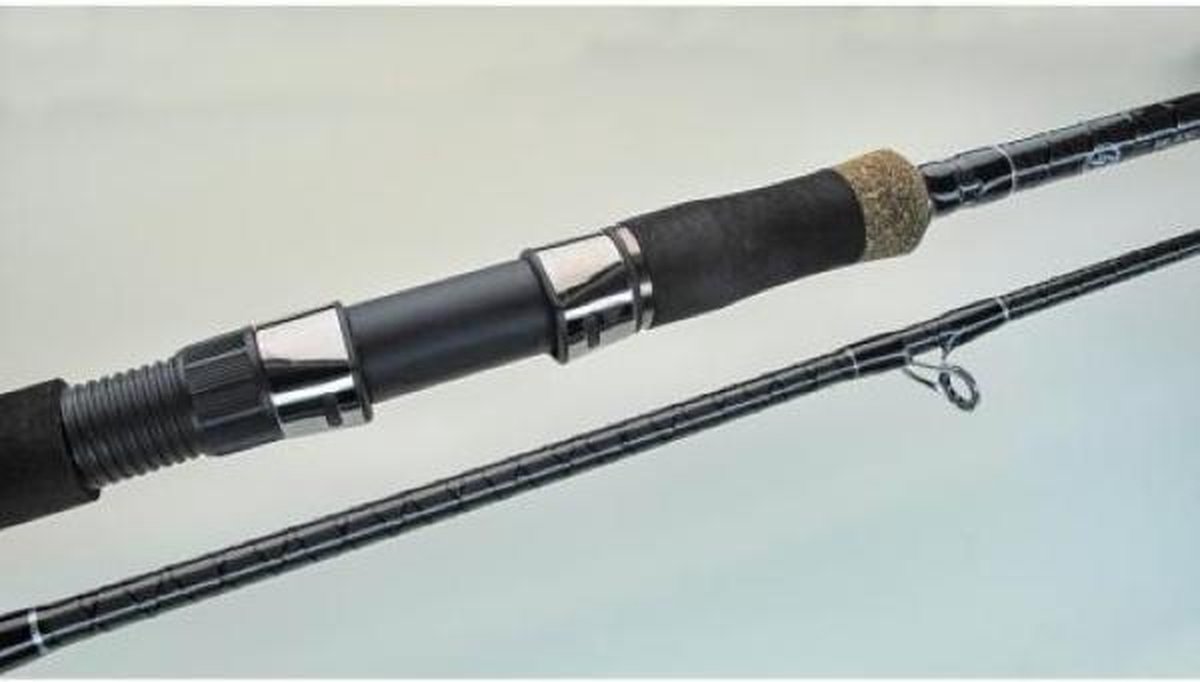 DEGA Sea Master Pilk & Spoon - 270cm - 50-100gr.