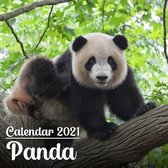 Calendar 2021 Panda