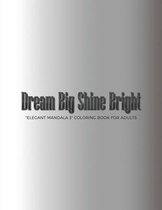 Dream Big Shine Bright