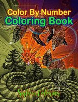 Color By Number Coloring Book