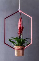 Hangende plantenpot - Robijn rood metaal - 50x35x35cm - Ø 12 cm - handgemaakt in Antwerpen - Plantenhanger Bloempot Plantenbak