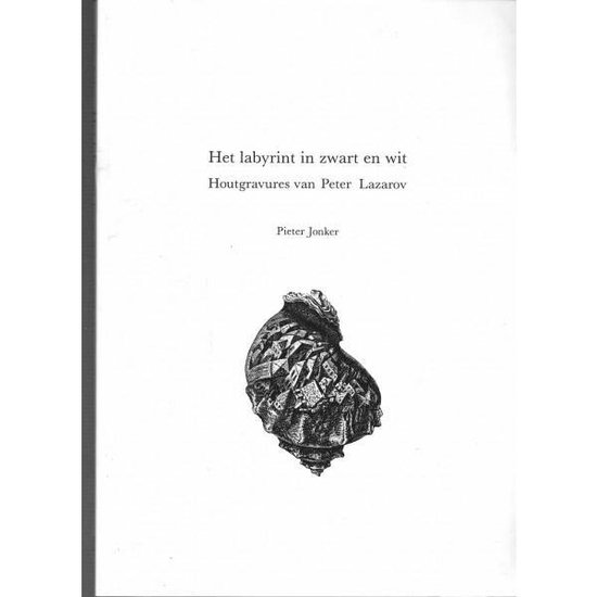 9789064979118 - Het labyrint in zwart en wit