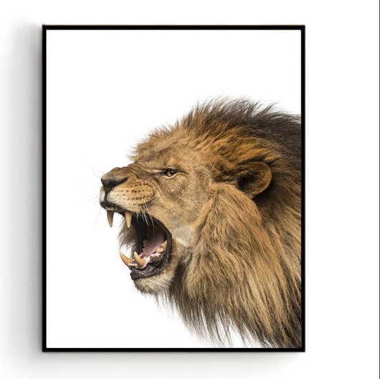 Poster Safari Leeuw Brul  - 80x60cm - Safari Jungle Dieren - Muurdecoratie