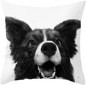 Dieren kussenhoes hond - Black and White - Sierkussen - 45x45 cm