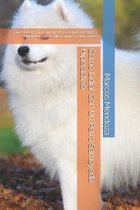 Como Lidiar Con Un Perro Samoyedo Hiperactivo