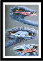 Diamond Painting  Struisvogels - Hobbypakket -  Vierkante steentjes - 20-100 cm - Volledig te beplakken