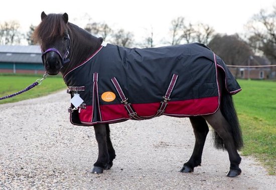 G-Horse - Paardendeken - Outdoor Regen/Winter deken - 0 gram - 145 cm - Zwart/rood