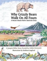 Why Grizzly Bears Walk on All Fours