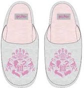 Pantoffels/sloffen van Harry Potter maat 34/35