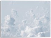 Dibond - Wolkenveld - 40x30cm Foto op Aluminium (Met Ophangsysteem)