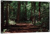 Tuinposter – Donkere Bomen - 120x80cm Foto op Tuinposter  (wanddecoratie voor buiten en binnen)