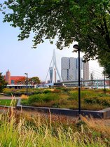 NU IN PRIJS VERLAAGD - Aluminium foto print Rotterdam - Erasmusbrug met skyline 1 - Wanddecoratie metaal - Schilderij