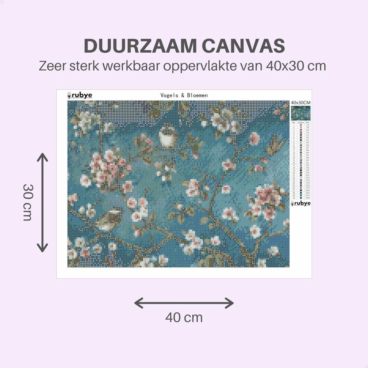 Rubye® Diamond Painting Volwassenen & Kinderen - Vogels & Bloemen - 40x30cm — afbeelding 3