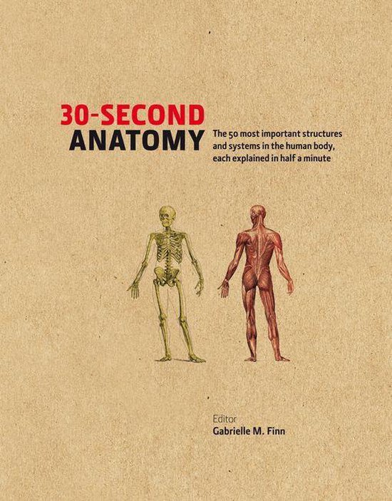 30-Second - 30-Second Anatomy - cover