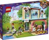 foto van LEGO Friends Heartlake City Dierenkliniek - 41446