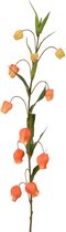 Viv! Home Luxuries Physalis - zijden bloem - goudbes - oranje - topkwaliteit