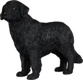 Hond New Foundlander, hondenbeeldje , figuur