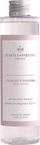 Plantes & Parfums Natuurlijke Olive Leaves Geurolie & Navulling Geurstokjes - Poederige Geur - 200ml