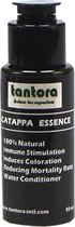 Tantora Catappa Essence Water Conditioner 30ml