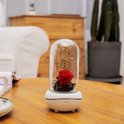 Witte aromadiffuser met rode roos en takjes onder glazen stolp, op een houten tafel.