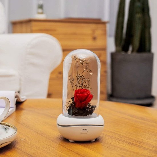 Witte aromadiffuser met rode roos en takjes onder glazen stolp, op een houten tafel.