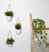 Kazai Plantenpot voor aan de muur, 3 sets, plantenpot met wandhouders,  hangende... | bol.com
