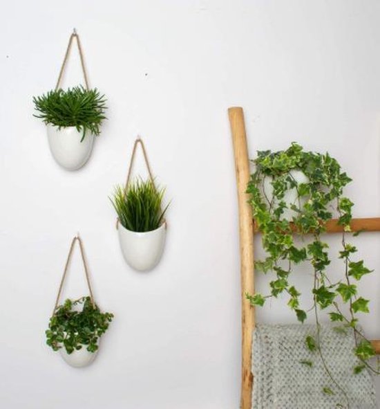 Rennen verdiepen Vruchtbaar Kazai Plantenpot voor aan de muur, 3 sets, plantenpot met wandhouders,  hangende... | bol.com
