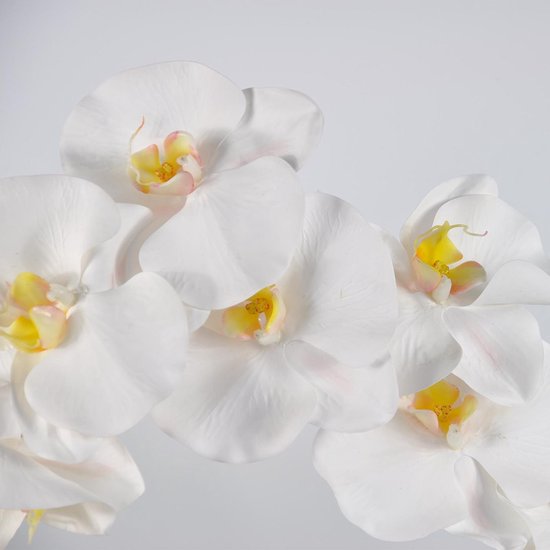 Fabulous Flowers - Orchidée artificielle XXL 112 cm blanc - Phalaenopsis en  soie | bol.com