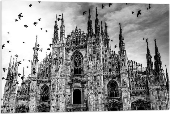 Acrylglas - Kathedraal van Milaan met Vogels Zwart - Wit - 90x60cm Foto op Acrylglas (Wanddecoratie op Acrylglas)