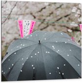 Dibond - Zwarte Paraplu met Roze Bloesem - 100x100cm Foto op Aluminium (Wanddecoratie van metaal)