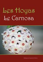 Les Hoyas 1 - Les hoyas