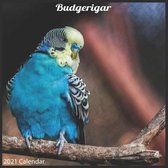 Budgerigar 2021 Calendar