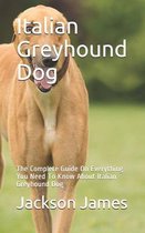 Italian Greyhound Dog