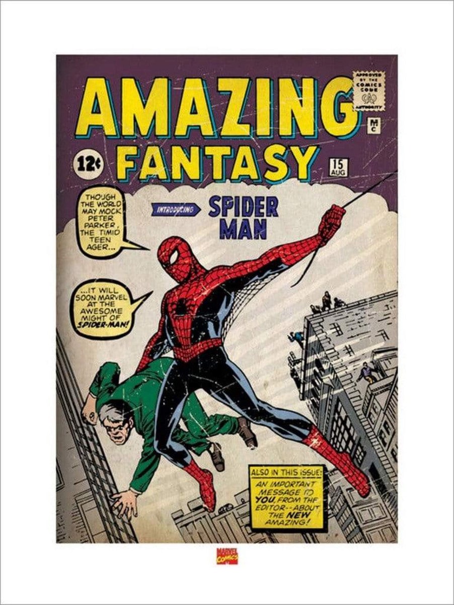 The Spider-Man - Un héros de bande dessinée affiche