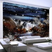 Fotobehangkoning - Behang - Vliesbehang - Fotobehang Nacht in het Bos - Night in the forest - 250 x 175 cm