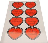 Joy in my Heart - Affirmatiestickers - complimentenstickers - jezelf liefhebben - zelfvertrouwen - Stickervel 8 stuks van 50 mm - Type 1
