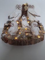 Sneeuwuilen stuk handgemaakt dus uniek met 4 sneeuwuilen inclusief 40 ledlichtjes 25x33x31 cm 2300 gram
