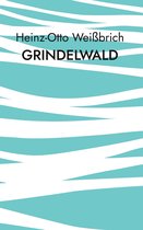 Reisebeschreibung 6 - Grindelwald