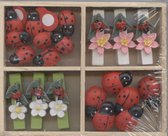 Houten decoratiefiguurtjes - wasknijpertjes - bloemen onzelieveheersbeestje