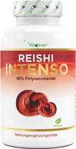 Vit4ever - Champignon Reishi - 180 gélules - 1300 mg d'extrait par dose quotidienne - 40% de polysaccharides bioactifs - Vegan - Power Mushroom - Ganoderma lucidum