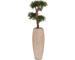 Bloempot Surabaya S stripe | Plantenbak | Beige - Licht Bruin | Ø30 x H80 cm