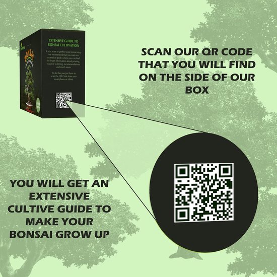 Bonsai Kweekset voor Beginners met 4 Soorten Bomen en Compleet Tuinierpakket van Merkloos	 — afbeelding 5