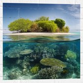 Muursticker - Koraal - Oceaan - Zee - Eiland - 50x50 cm Foto op Muursticker