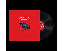 INTELLECTUAL PROPERTY