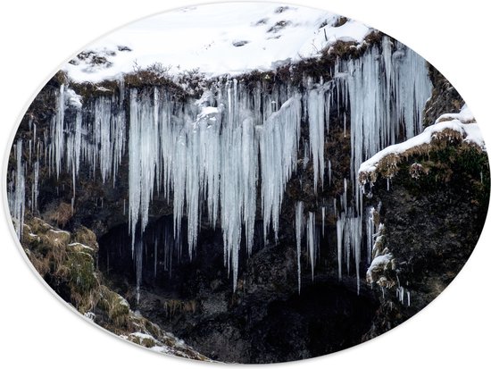 PVC Schuimplaat Ovaal - Ijspegels - Sneeuw - Winter - Ijs - 40x30 cm Foto op Ovaal (Met Ophangsysteem)