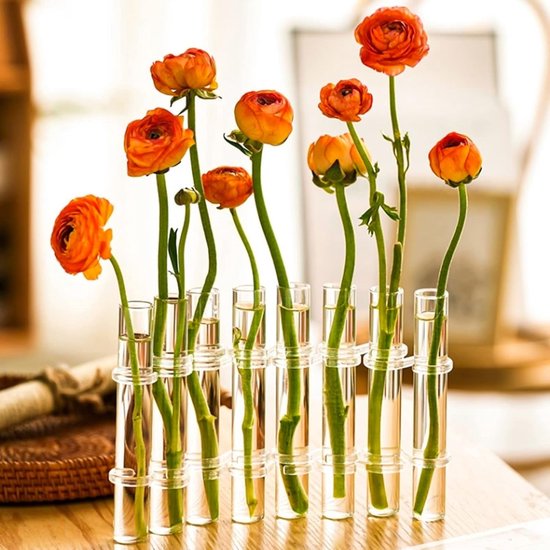 Opklapbare glazen vaas, reageerbuis-vaas voor bloemen, hydrocultuur-reageerbuisvaas, glazen vaas met standaard, tube bud vaas voor bloemen, planten, woondecoratie